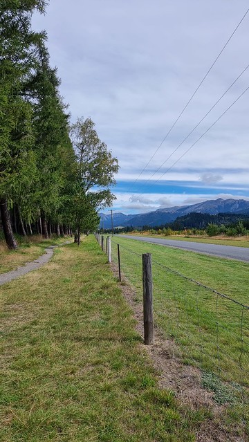 Hanmer Springs Forest Trails