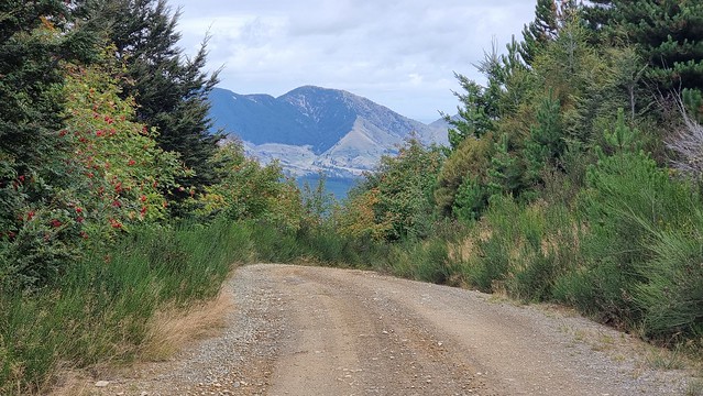 Last sight of Molesworth from Jollies Pass