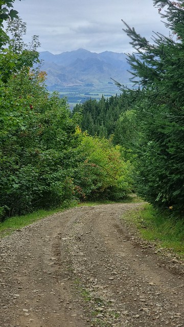 Jollies Pass towards Hanmer Springs