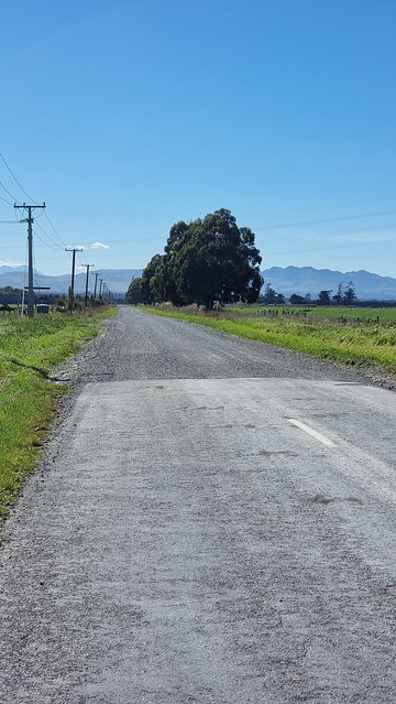 Gravel bike time Leslie Hills Road