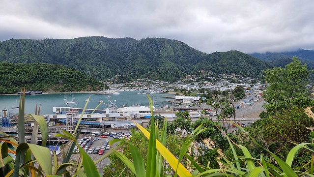 Picton from Queen Charlotte Drive