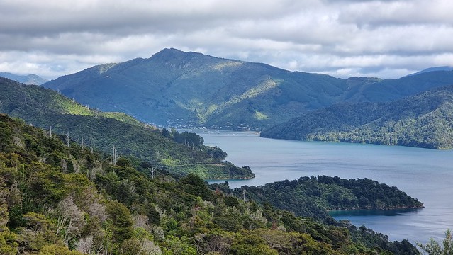 Link Pathway | Queen Charlotte Sound