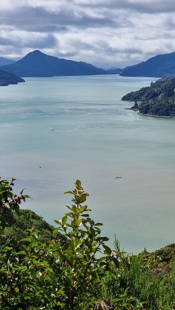 Link Pathway | Pelorus Sound