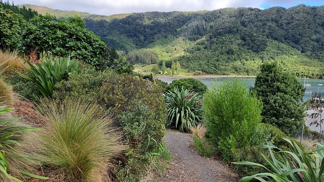 Link Pathway | Queen Charlotte Sound