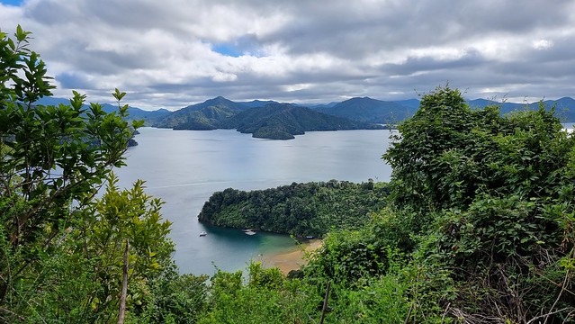 Link Pathway | Queen Charlotte Sound
