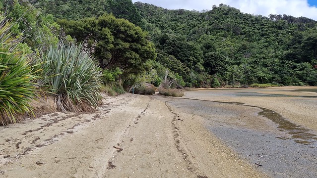 Link Pathway | Queen Charlotte Sound