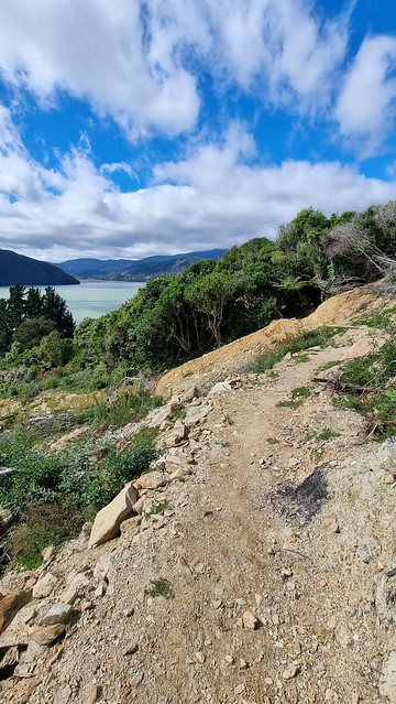 Link Pathway | Queen Charlotte Sound