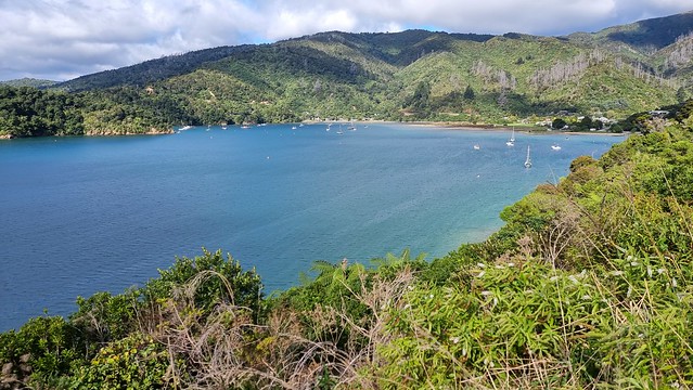 Link Pathway | Queen Charlotte Sound