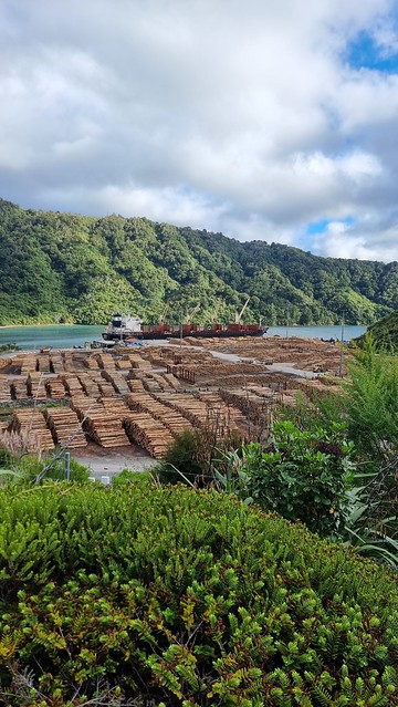 Sticks for export...