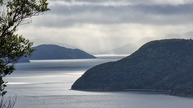Link Pathway | Queen Charlotte Sound