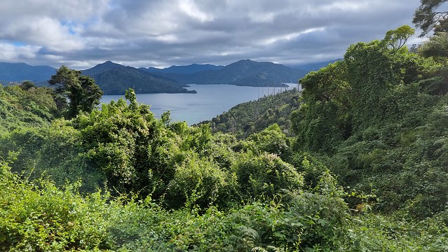 Link Pathway | Queen Charlotte Sound