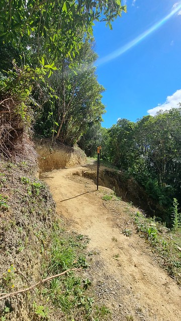 Link Pathway | Queen Charlotte Sound