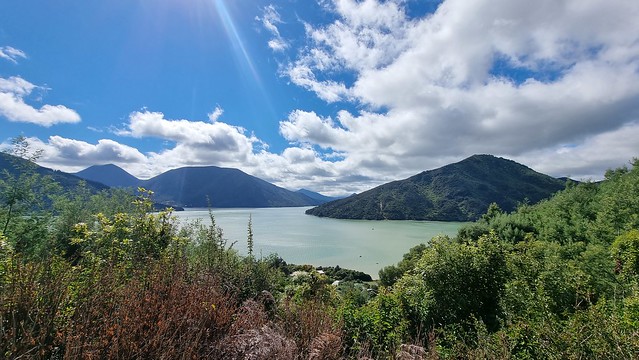 Link Pathway | Pelorus Sound