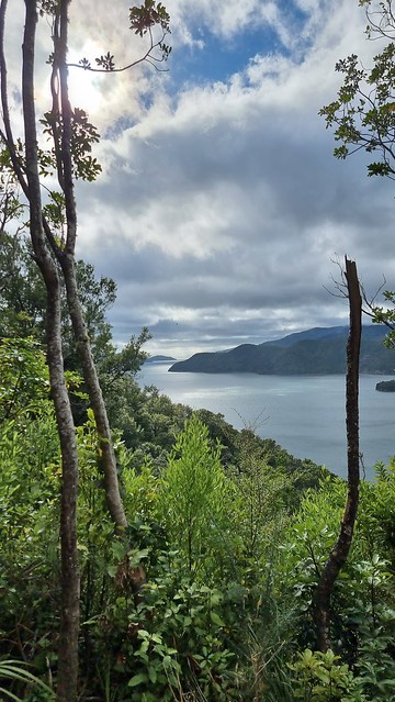 Link Pathway | Queen Charlotte Sound