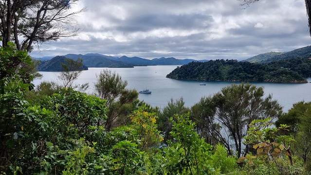 Link Pathway | Queen Charlotte Sound
