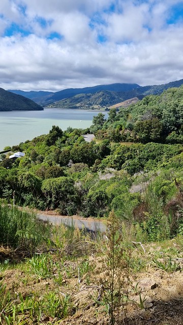 Link Pathway | Queen Charlotte Sound