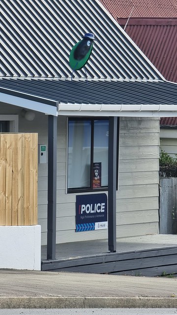 Cop Mussels in Havelock