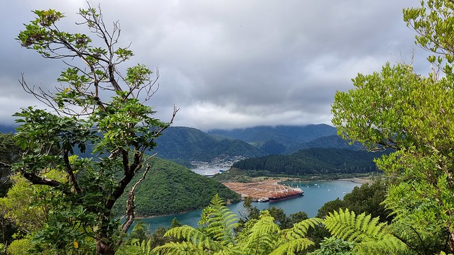 Link Pathway, last view of Picton