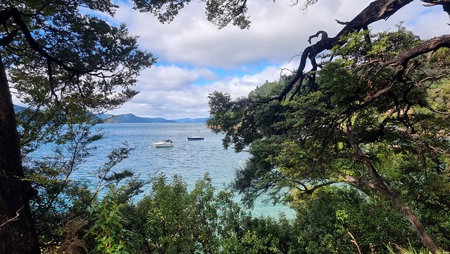 Link Pathway | Queen Charlotte Sound