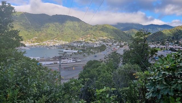 Back at Picton, Link Pathway | Queen Charlotte Sound