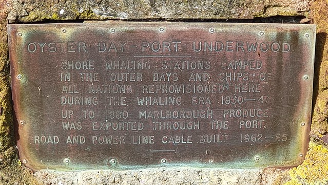 Oyster Bay, Port Underwood