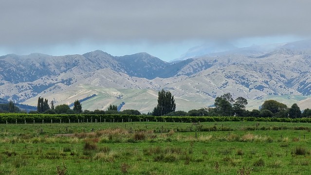 Wither Hills, Blenheim