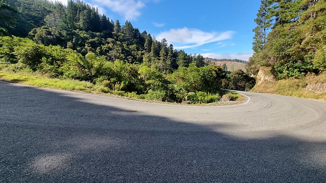 Port Underwood Rd last big climb?