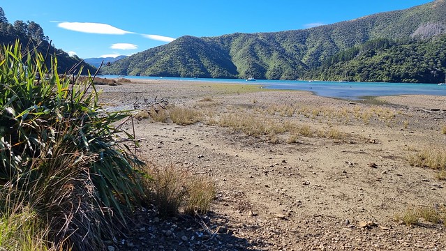 Whatamango Bay, Queen Charlotte Sound
