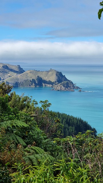 Port Underwood Rd views