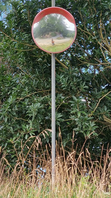 Port Underwood Rd selfie