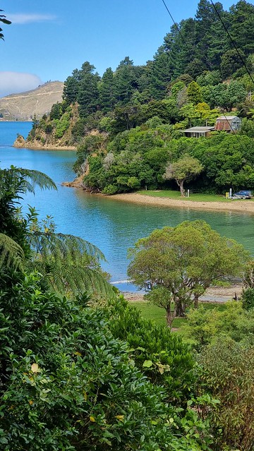 Port Underwood Rd views