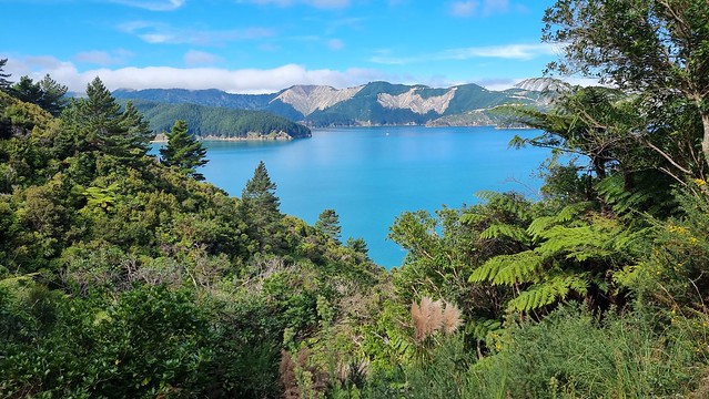 Port Underwood Rd views