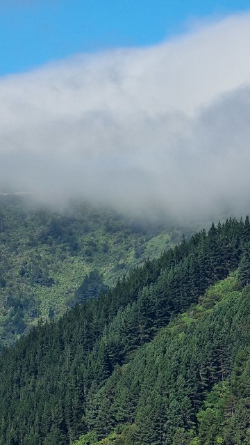 Whatamango Bay cloud
