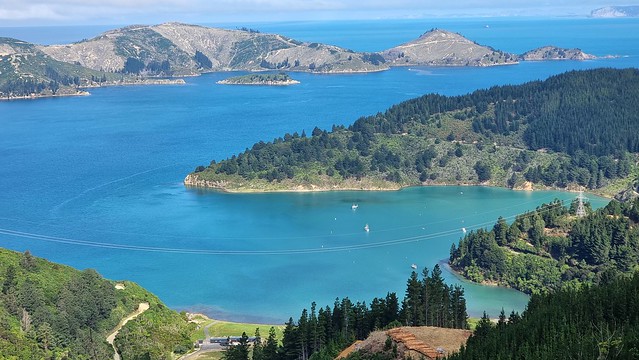 Port Underwood Rd views