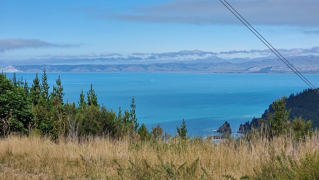 Port Underwood Rd views