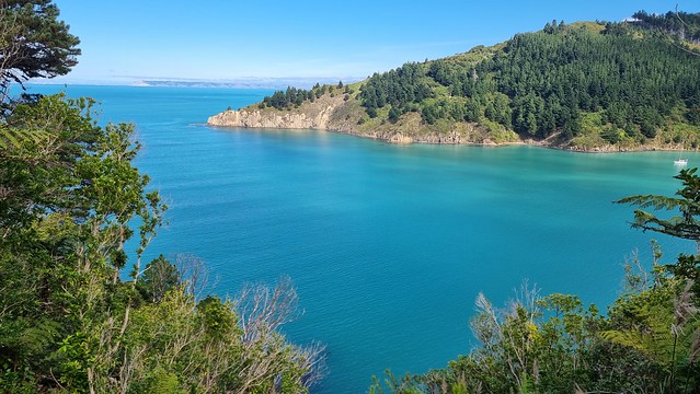 Port Underwood Rd views