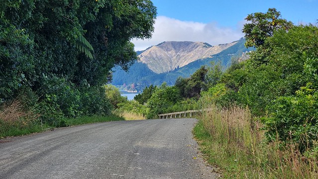 Port Underwood Rd views