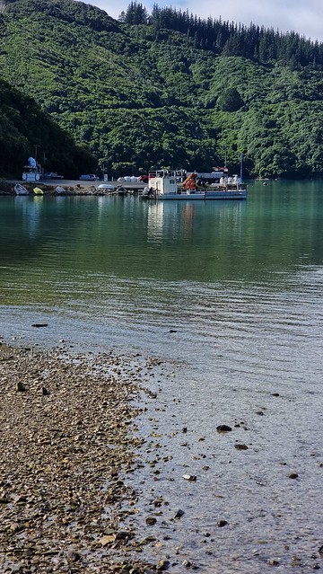 Oyster Bay, Port Underwood