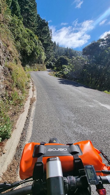 Port Underwood Rd last big climb?