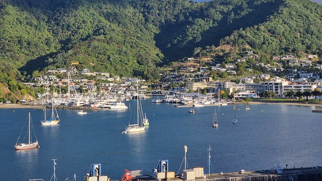 Picton from Bluebridge Ferry