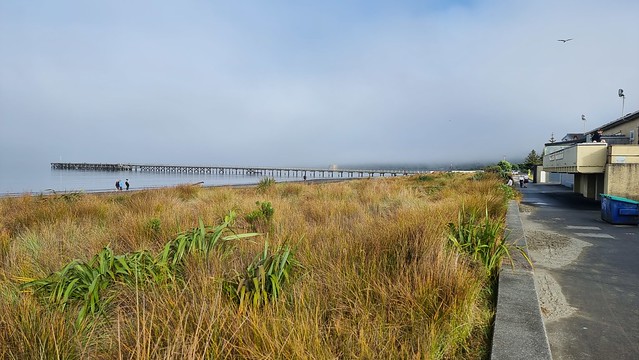 Petone foreshore