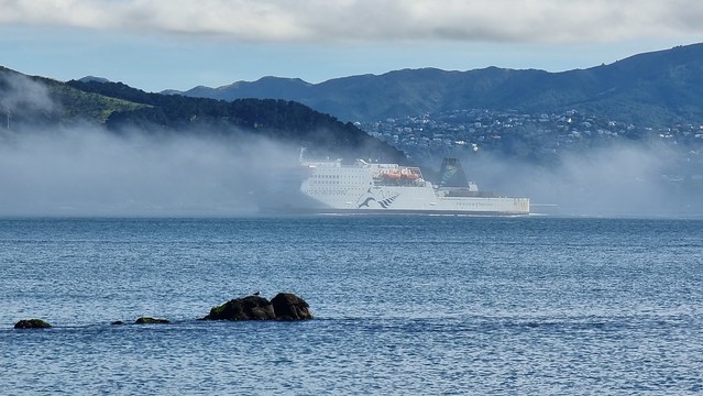 Foggy Ferry