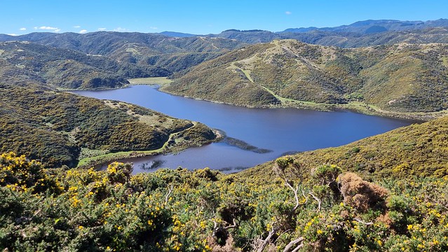 Lake Kohangatera, Pencarrow Head