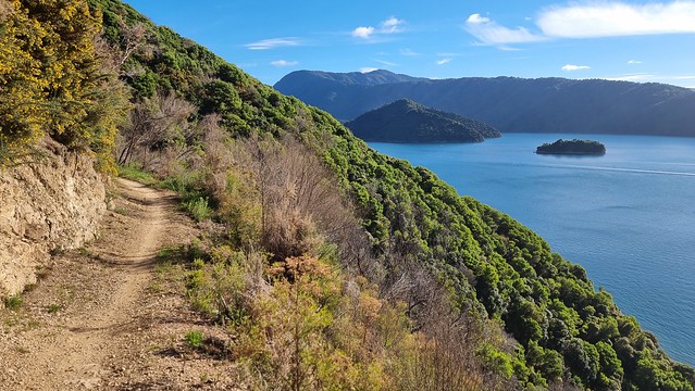Didn't know it would be this hilly! Picton-Waikawa Track