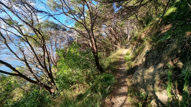 Picton-Waikawa Track