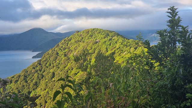 Waikawa Point, Picton