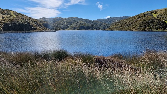 Lake Kohangatera, Pencarrow Head
