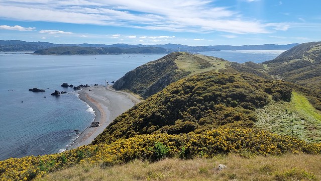 Pencarrow Head towards Lyall Bay & Airport