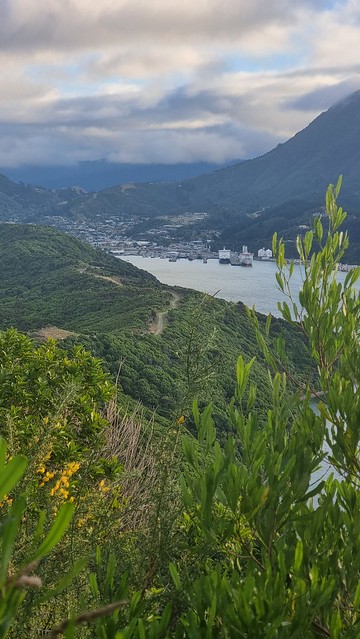 Waikawa Point, looking back to Picton