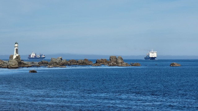 Rush hour, or making most of no fog?